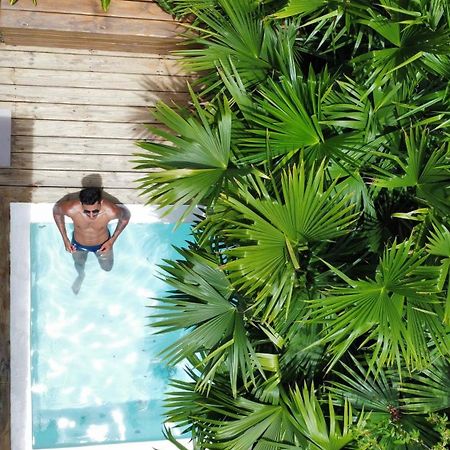 Villa Joa - Casa No Quadrado トランコーゾ エクステリア 写真